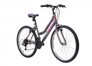 mountain alpina 24"