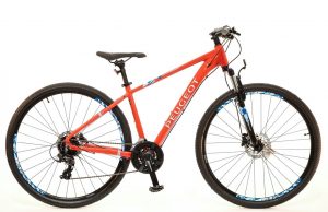 peugeot 29"