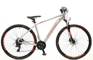 peugeot 29"