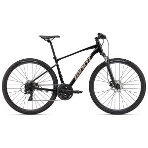giant roam disk 4