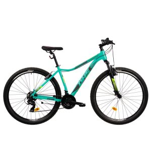 dhs mountain bike 29"