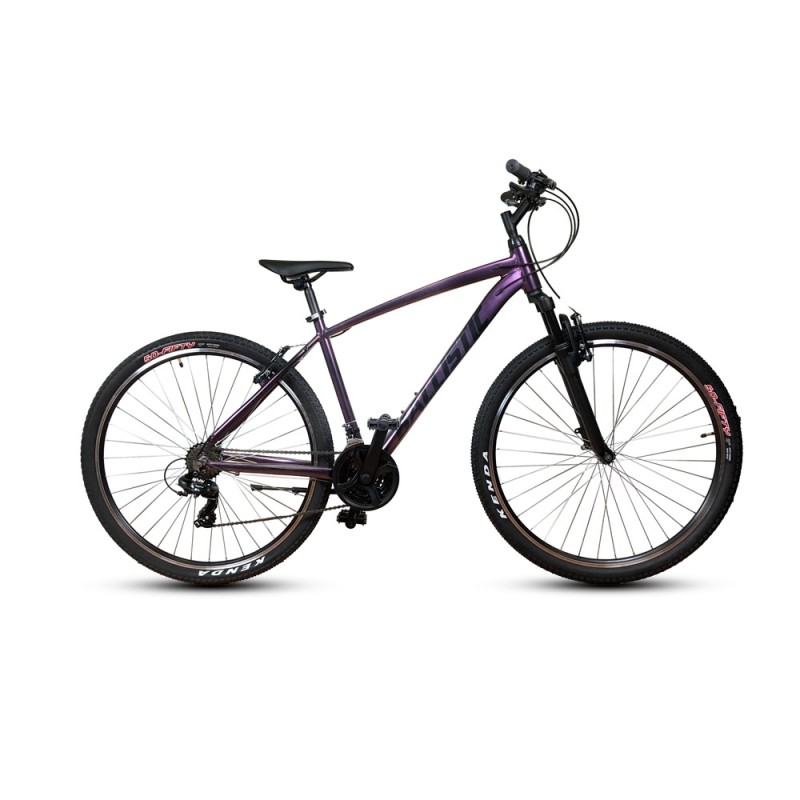 Ποδήλατο Mountain Bike 29 Ballistic Hermes 2025 Μωβ