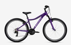 Hermes-27-Violet