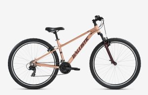 Hermes-Rose-Gold
